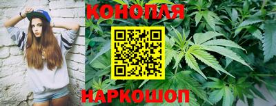 Альфа ПВП Обнинск