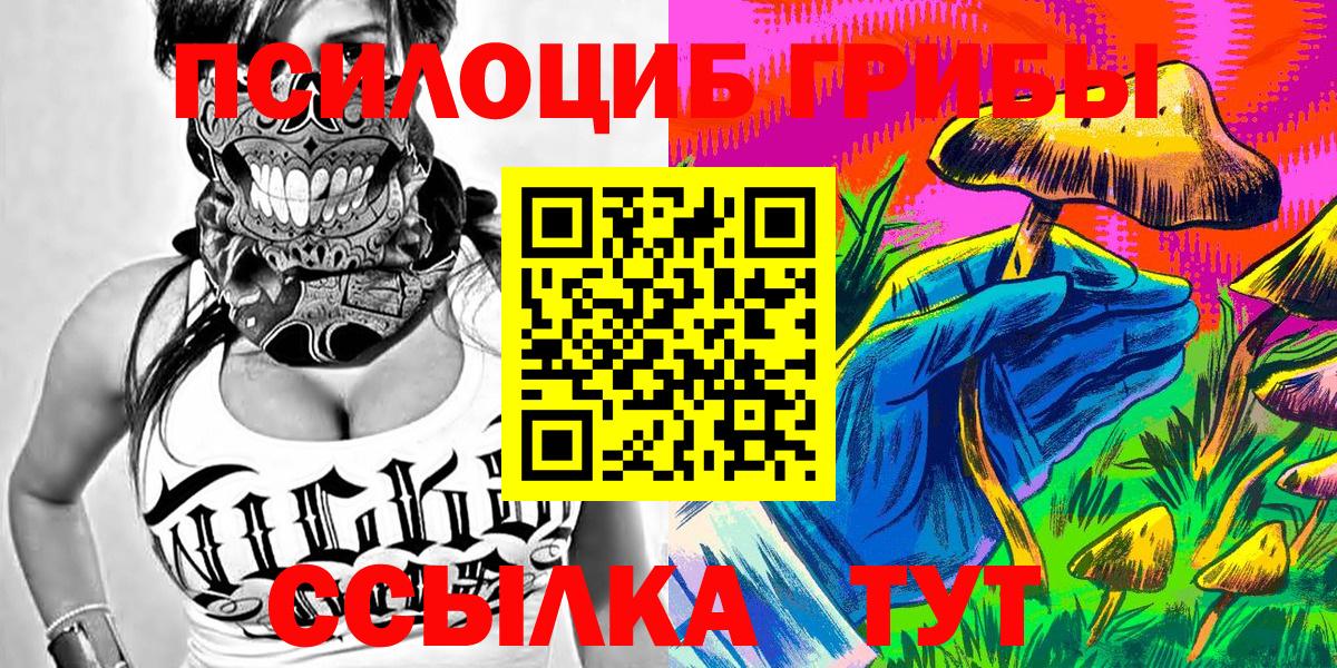 Галлюциногенные грибы мицелий  Псилоцибиновые грибы Magic Shrooms  Вход с VPN  Чайковский 